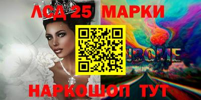 индика Аргун