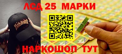 индика Аргун