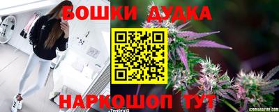 индика Аргун