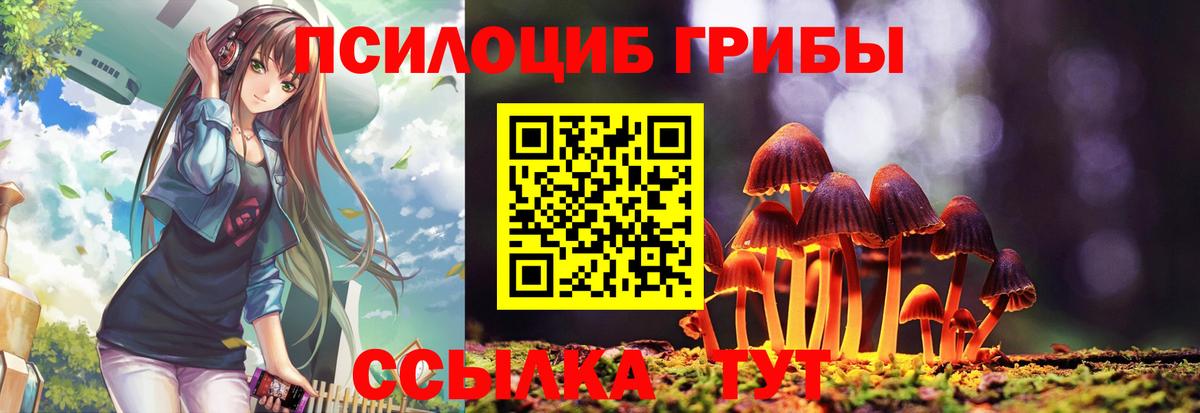 Галлюциногенные грибы Psilocybe  Вход с VPN  Галлюциногенные грибы ЛСД  Владикавказ 